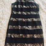 Shoshanna Sophisticated Black And Nude Lace Dress Photo 0