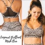 Zyia  NWT Snow Leopard Brilliant Mesh Sports Bra Size Small Photo 2