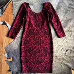 American Apparel  Red And Black Goth Floral Lace Print Bodycon Mini Dress Photo 0