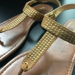 Rampage  Women's Brown and Gold Flat Buckle Sandals Size 7 Photo 1
