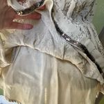 Free People  beaded sequin embellished top Size S Photo 10