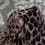 Nili Lotan Black and Brown Leopard Long Sleeve Top See Through Womens Xs Photo 8