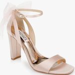Badgley Mischka Badgley Mischa Women’s Kim Heeled Sandal in soft champagne color Photo 0