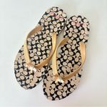 Coach  Flip Flop Sandals Tan Women’s Size 5/6 Signature Gold Bow Photo 4