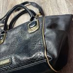 Steve Madden  Black Snake-Embossed Women's Bag Photo 3