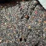 BKE  Knit Cardigan zip up Photo 1