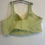 Cacique  Cotton Lightly Lined T-shirt Bra Underwire Longline Lace Size 42DD Photo 1