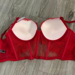 Victoria's Secret Corset Photo 2