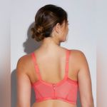 Cosabella  Sardegna Curvy Plunge Longline Bralette in Rossa Size Small NEW Photo 2