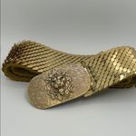 Vintage Gold Tone Lion Head Belt: Metallic Fish Scale Stretch Belt Photo 4