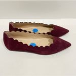 Adrienne Vittadini  Fox scalloped pointy toe flats, suede leather maroon 7.5 Photo 11