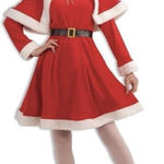 Forum Novelties Miss Santa Costume/Outfit  For Women Fits 14/16 Photo 0