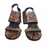 French Connection Lori Snakeskin Heels Womens 6.5 Sandals Open Toe Block Photo 3