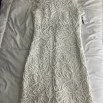 Sans Souci White Lace Dress Photo 0