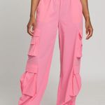 Gold Hinge  Pink Parachute Pants Photo 0