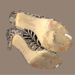 Ivanka Trump  gold and taupe leopard print strappy ankle boots! Photo 7