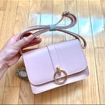 ZARA Pink Bag Photo 1