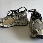 Steve Madden  Cliff Sneakers. Photo 12