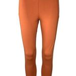NEW American Eagle Burnt Orange Brown High Rise Stretc Pants Leggings Sz M Size M Photo 0
