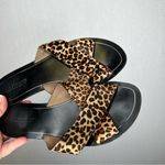 J.Crew  |‎ Size 8 Cross Strap Brown and Black Leopard Print Sandals Photo 2