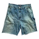 BDG Mens Womems Buckle Copper Rinse Baggy High Rise Carpenter Shorts - 31 Photo 0