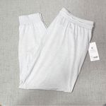 Athleta  Uptempo Fitted Jogger Pants Athletic Lightweight Gray XL Nwt Photo 5