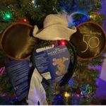 Disney Walt World Enchanted Tiki Room Ear Headband Photo 0