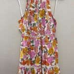 Petal and Pup Raffael High Neck Open Back Mini Dress Medium Photo 2