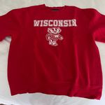 Jansport Wisconsin Hoodie Photo 0
