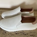 Kate Spade NWOB Azores Perforated Leather Sneakers Photo 1