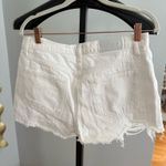 Pistola  Jean Shorts Photo 2