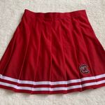 Zoozatz South Carolina Cheer Skirt Photo 0