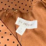 Blu Pepper NWOT POLKA DOT COLLARED VELVET TIE MINI BABYDOLL DRESS RUST BROWN Photo 5