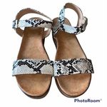 None Snakeskin Embossed Platform Sandal size 10 Photo 0