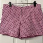 Brooks Brothers  346 Pink and Blue Women’s Shorts Size 14 Photo 0