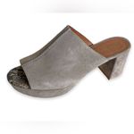Free People Taupe Suede Mules with Snakeskin Accent Photo 1