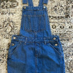 Iris Jeans Denim Blue Skirt Overalls Size 24 Photo 0