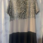 Entro  Animal Print V-Neck Short Sleeve Top Photo 2