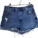 Pistola Mid-waisted  distressed denim shorts Photo 0
