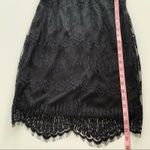 Lush Clothing Lush | Evangeline Black Lace Mini Dress Medium Photo 5
