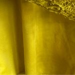 Olivia Blu  Yellow Lace Top with Black Trim Size Large Photo 5