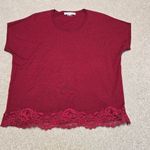 Gerard Darel  Womens Designer Luxury Wool Lace Short Sleeve Sweater sz‎ 2 US 6/8 Photo 5