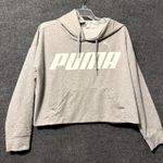 Puma Keeps You Dry Cropped Hoodie Women Large Gary Graphic Long Sleeve Pullover Photo 0