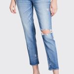 MOUSSY VINTAGE Helendale Distressed Light Photo 0