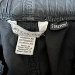 American Eagle Outfitters Cargo Pants Photo 2