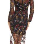 Dress the Population Sophia Hummingbird Embroidered Sheer Illusion Dress XS Photo 3