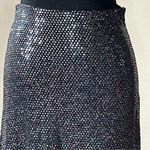 Urban Outfitters  Regina Sparkly Metallic Midi Skirt Photo 0