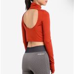 Ivy Park  Long Sleeve Crop Top Photo 1
