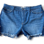 Sam Edelman ‎ High Rise Jean Shorts Photo 0