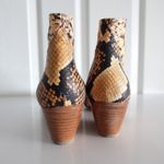 Homers Snake Photo 5